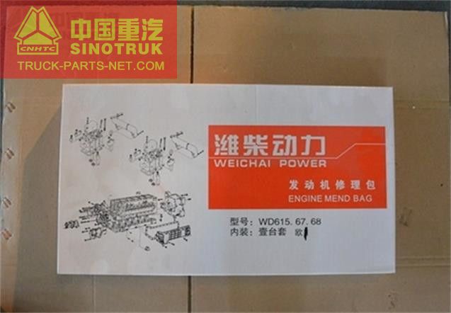 VG1095088019,Engine Repair Kit,Sino Truck Howo Parts