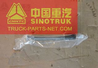 VG1560080305 Injector,SINO TRUCKS HOWO PARTS