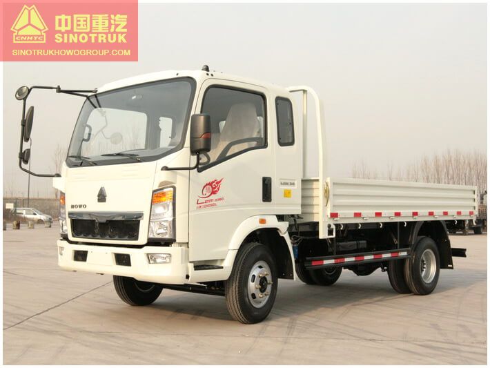 HOWO Cargo Truck 4x2