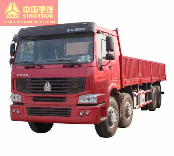 HOWO Cargo Truck 8x4