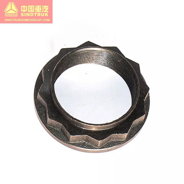 SINOTRUK HOWO WG9981320106 Lock Nut