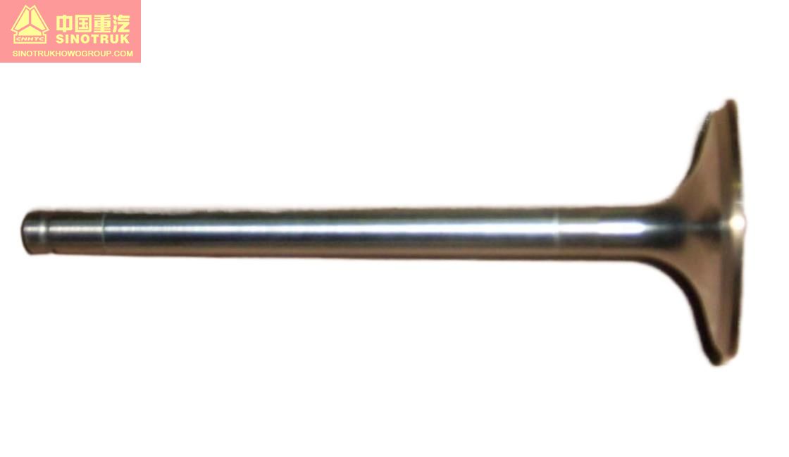 VG1560051001 Intake valve